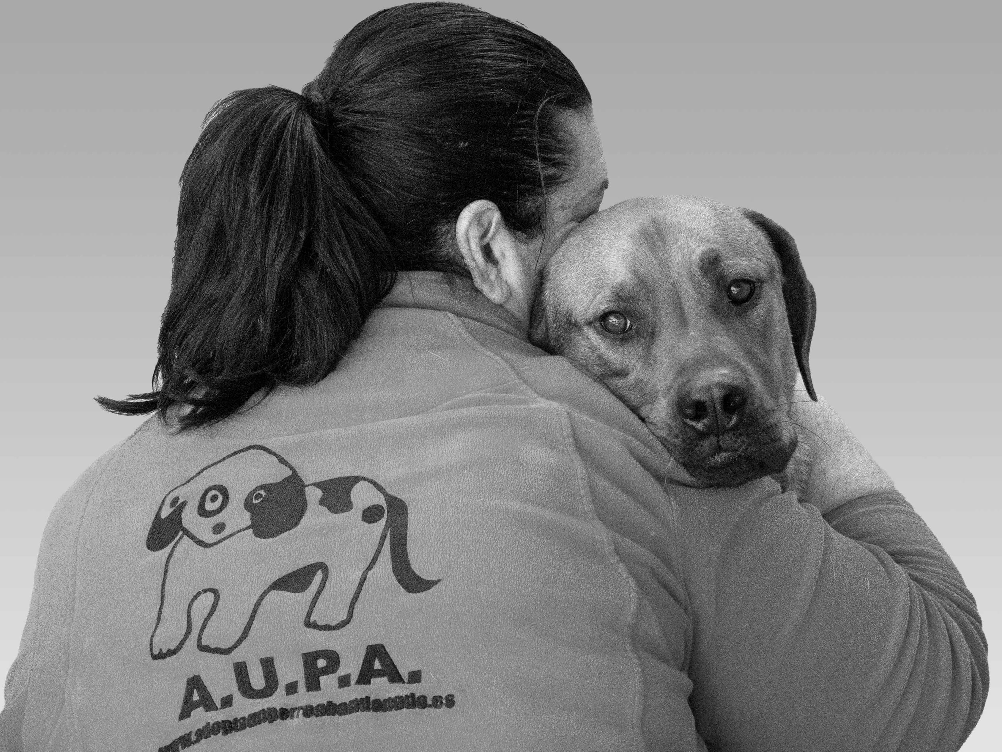 23º Desfile de A.U.P.A y Fundación BIOPARC para adoptar perros abandonados