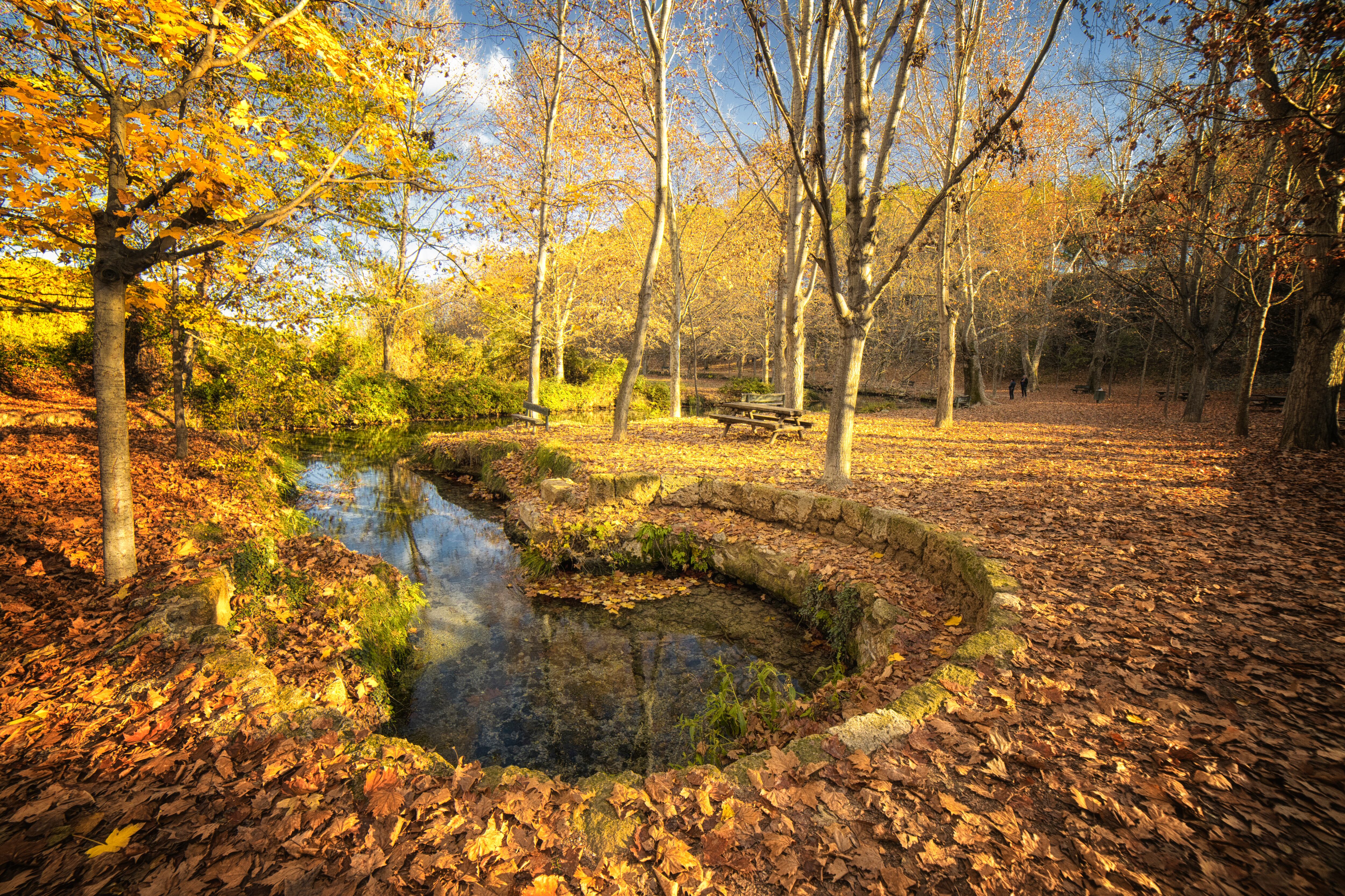 Estampa otoñal de las Fuentes del Marqués, en Caravaca de la Cruz