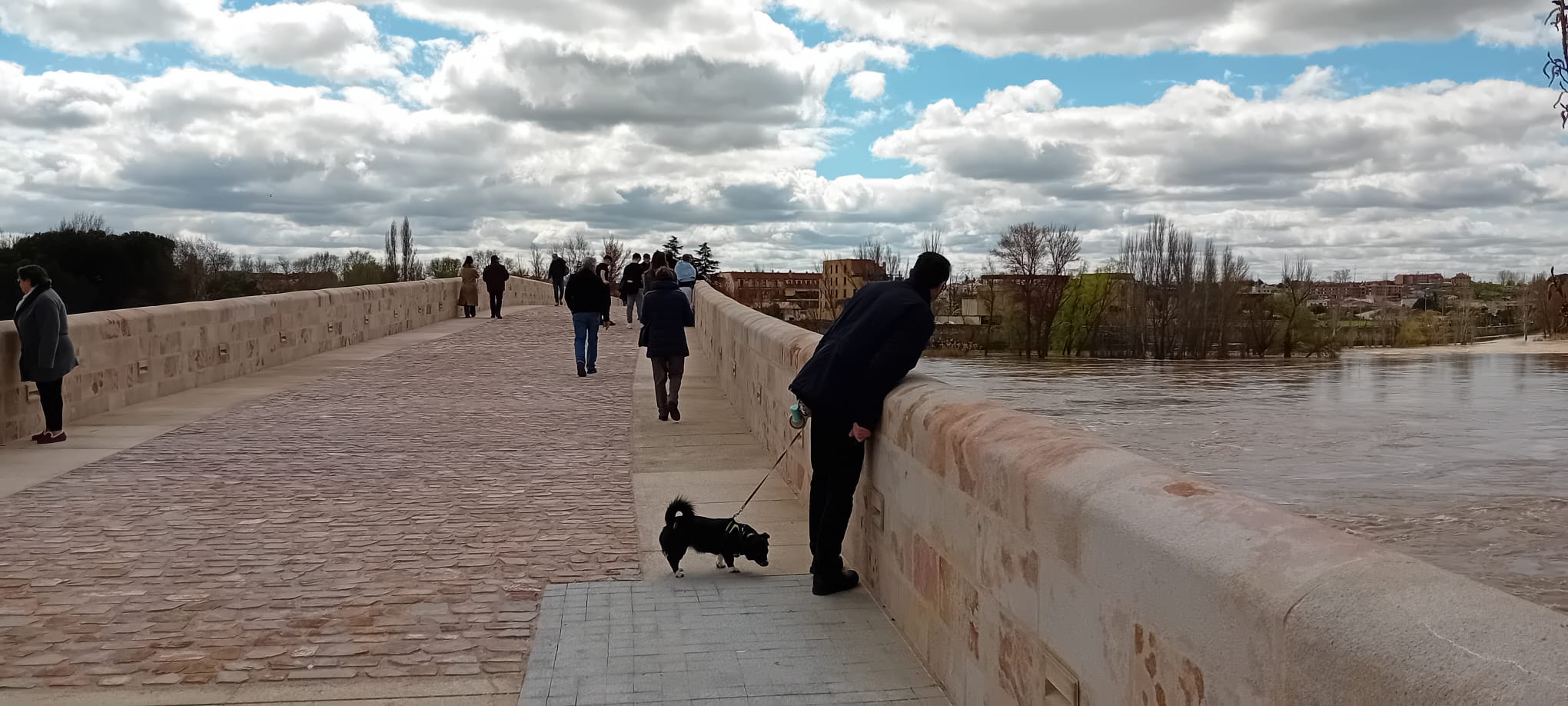 Los zamoranos pasean por el "nuevo" Puente de Piedra