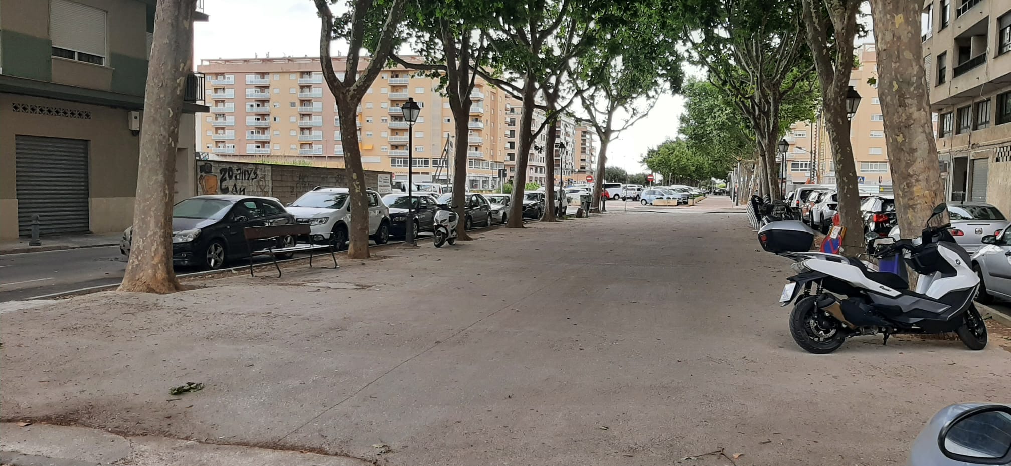 Tramo del paseo de Oliva que va a ser remodelado.