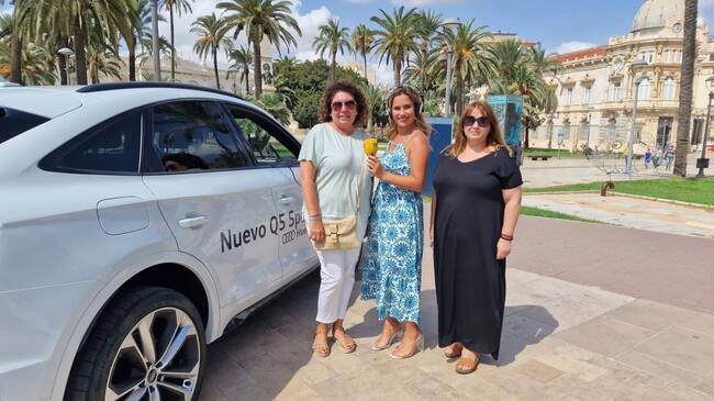 Programa especial Carthagineses y Romanos