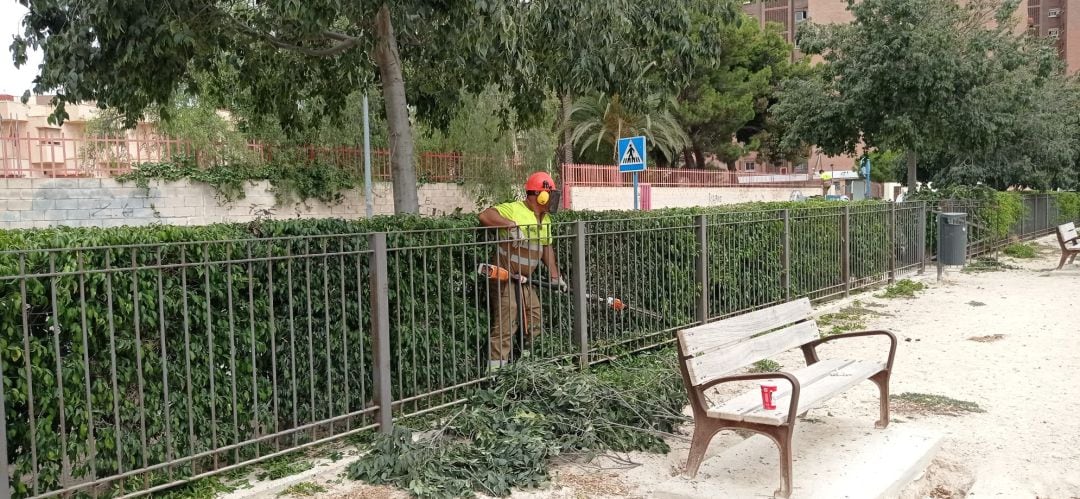 Acondicionamiento de un parque canino de Alicante