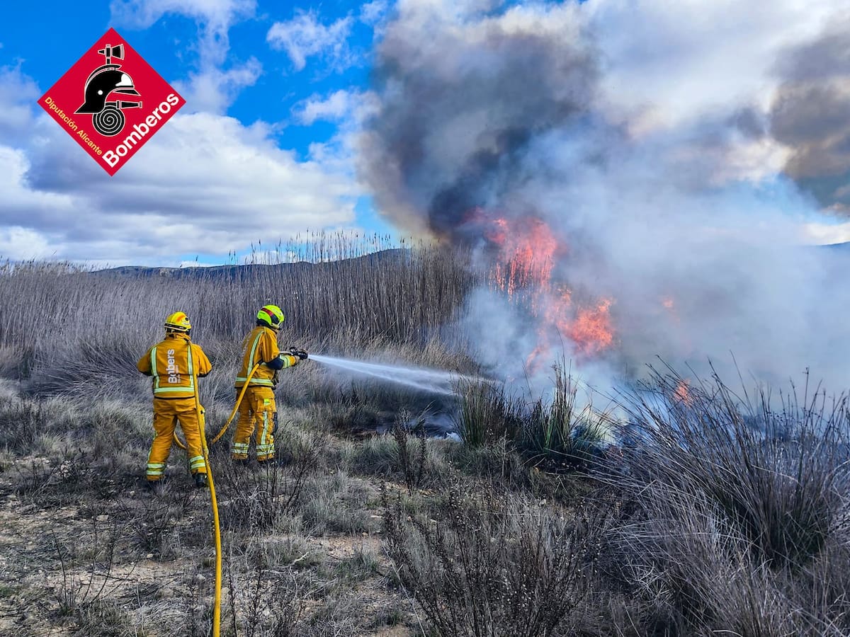 Los bomberos sofocan un incendio de matorral y carrizo en la carretera de Fontanars