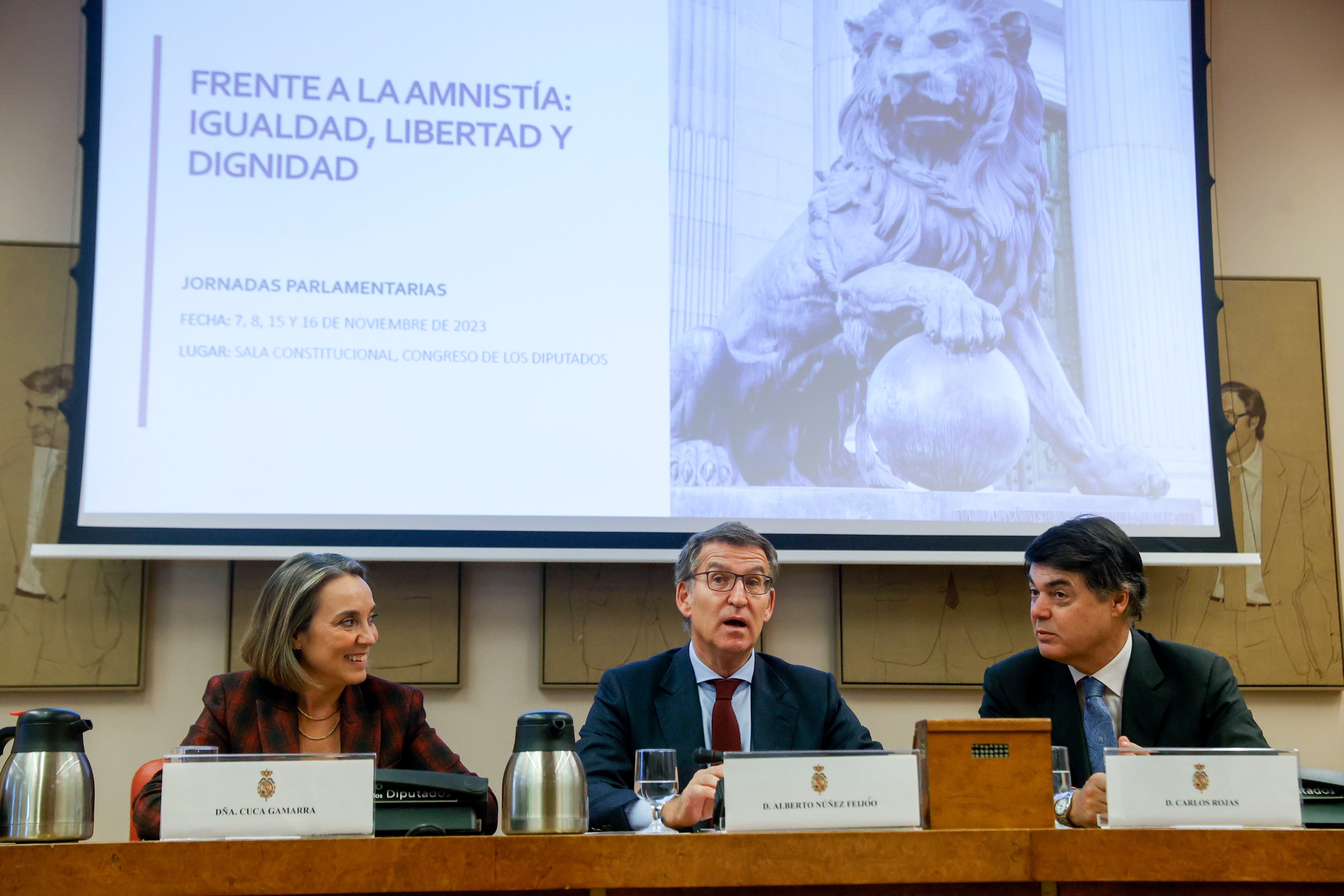 El líder del PP, Alberto Núñez Feijóo (c) junto a la portavoz en el Congreso, Cuca Gamarra (i) y el diputado del PP, Carlos Rojas  (d) participan en la mesa &quot;Academia y Amnistía&quot; de la Jornada &quot;Frente a la amnistía:igualdad, libertad y dignidad&quot;, este miércoles en el Congreso. EFE/ Juan Carlos Hidalgo