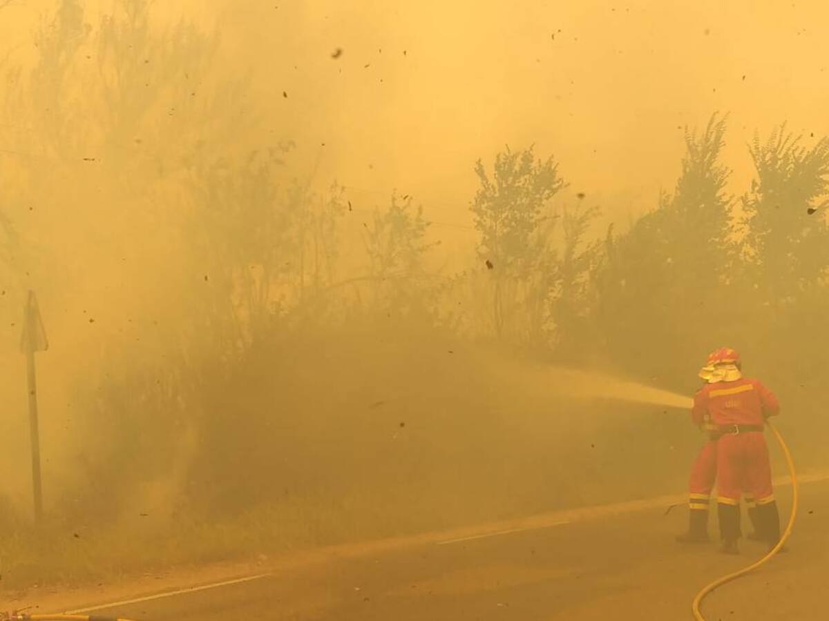 El incendio de la Sierra de la Paramera (Ávila) ya ha quemado más de 10.000 hectáreas