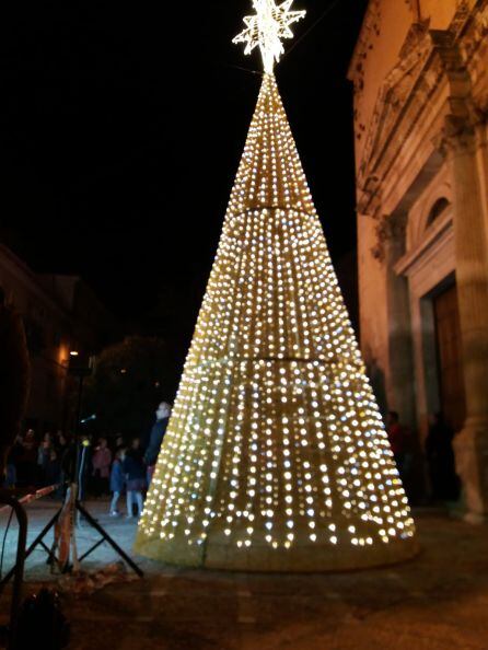 Árbol de navidad instalado en la lonja de acceso a la Iglesia de la Asunción