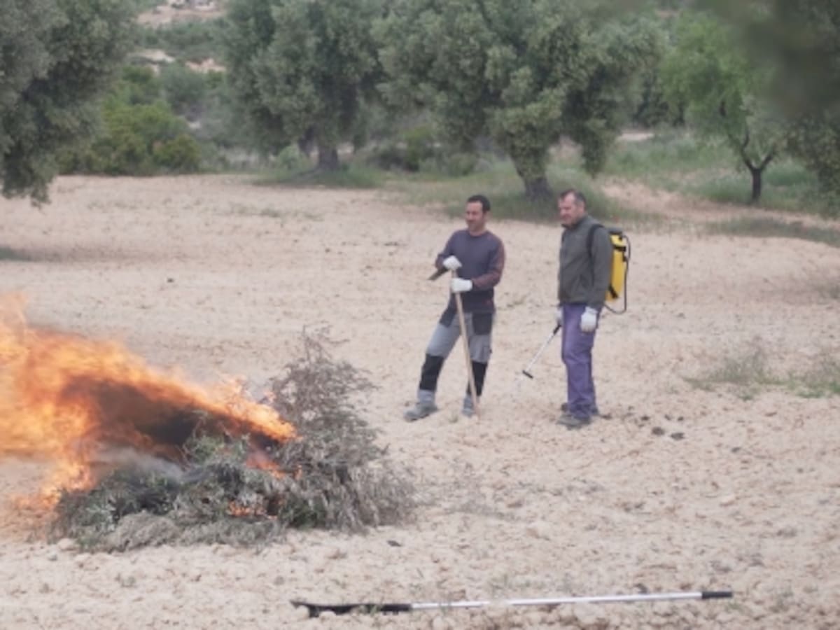 Vila-real facilitará a los agricultores de la localidad la tramitación de los permisos para las quemas agrícolas