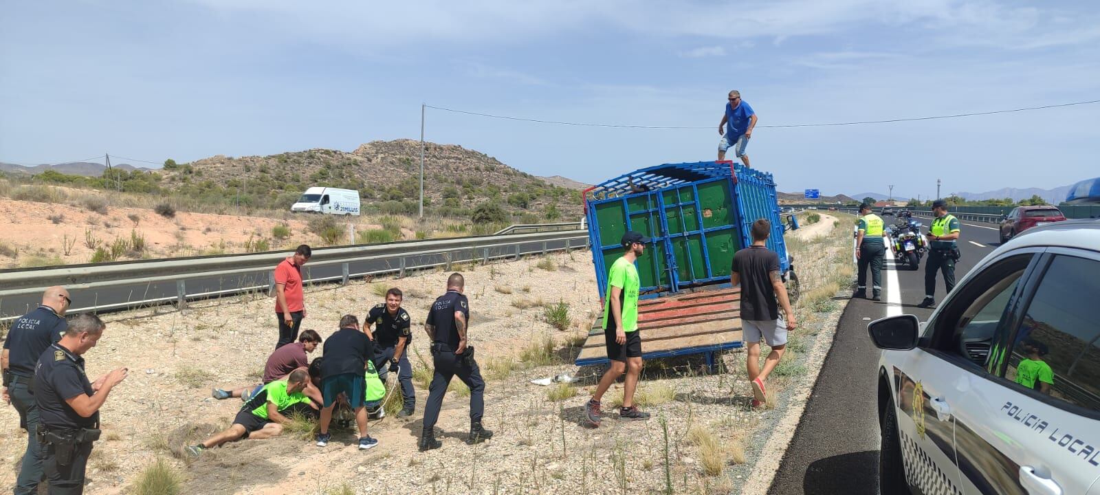 Los agentes y un grupo de personas interceptan a la vaquilla que se había escapado de una finca sin licencia. Foto: Ayuntamiento de Alicante