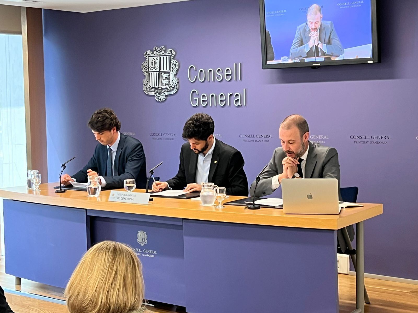 Jordi Casadevall en una compareixença del grup parlamentari de Concòrdia