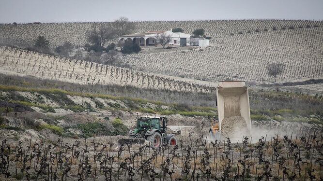 Los viñedos del parque eólico El Barroso
