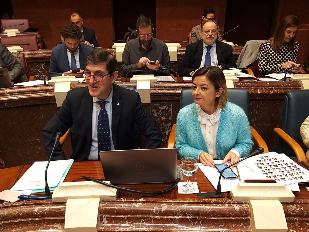 Imagen del consejero, este viernes en la Asamblea 