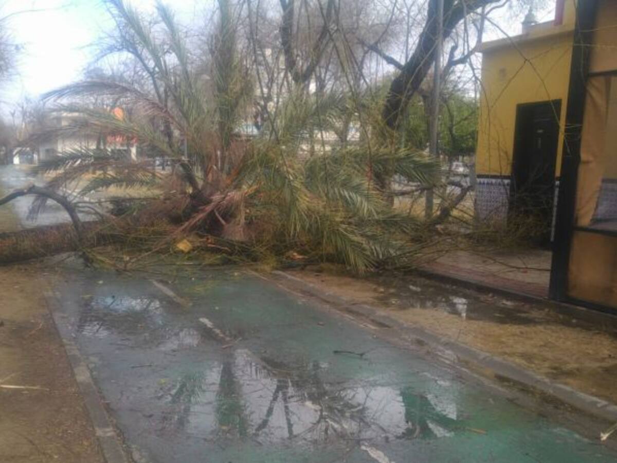 348 incidentes atendidos por viento y lluvia en Sevilla