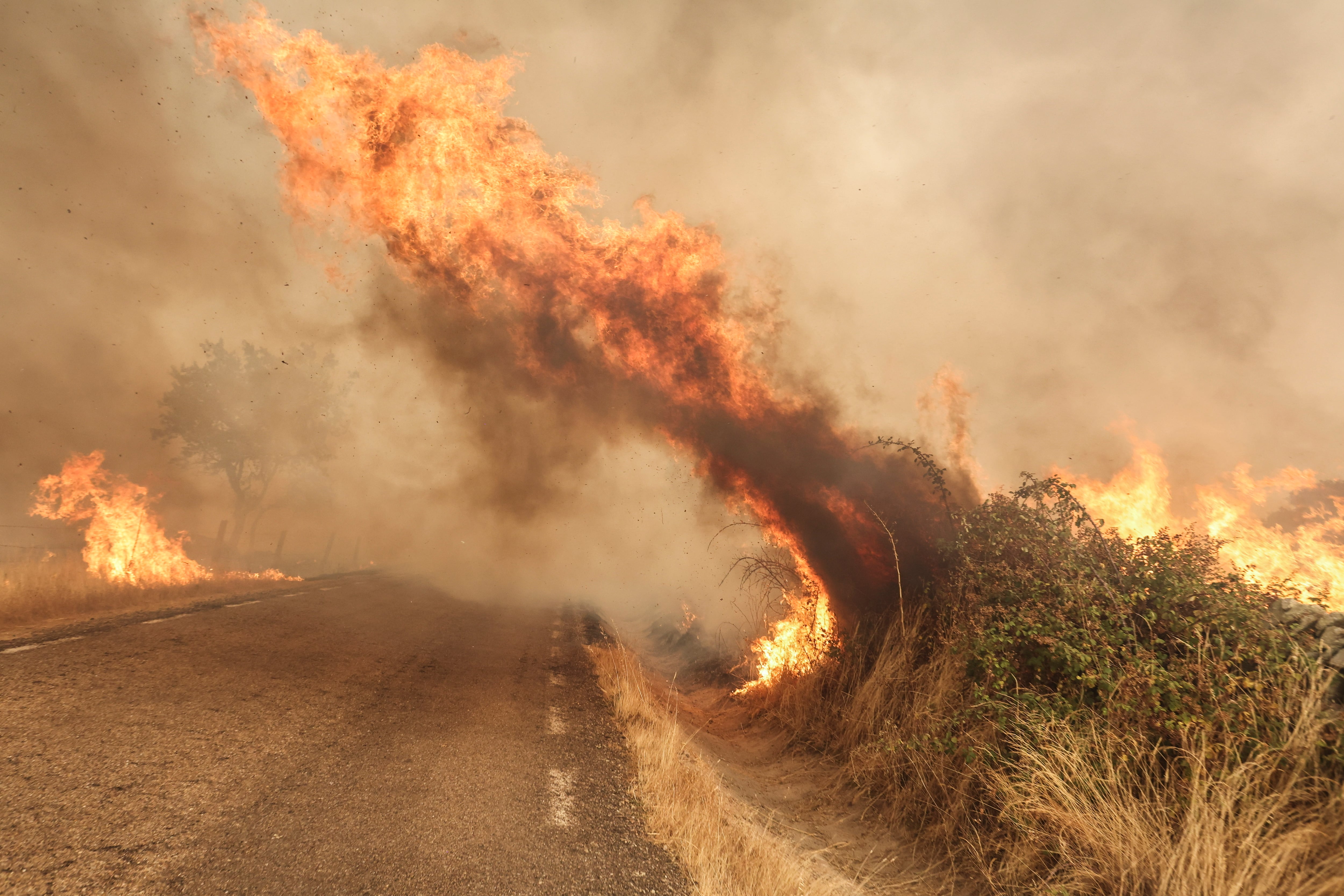 CIPÉREZ (SALAMANCA), 15/08/2025.- El fuego cruza una carretera tras el incendio forestal de este viernes, en las proximidades de Cipérez (Salamanca). EFE/JM GARCIA

