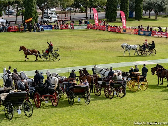 Puesta de largo de los enganches de tradición en Cartagena