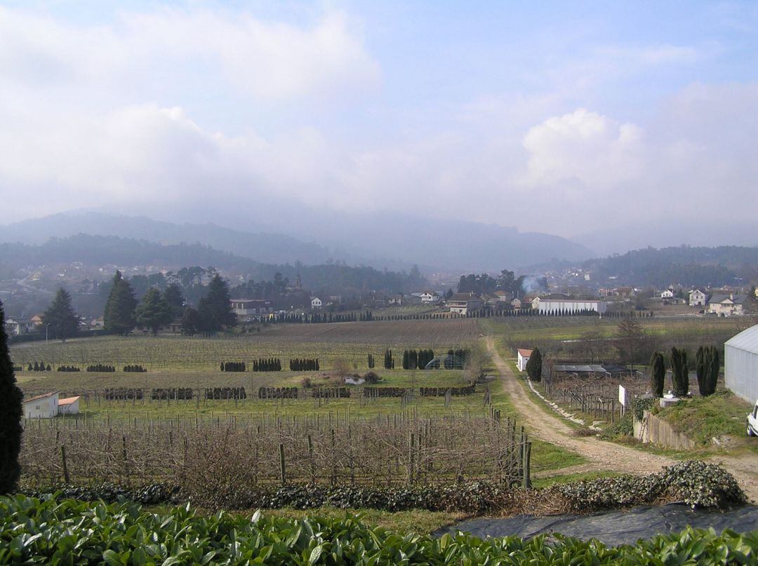 Finca del CIFP A Granxa en Ponteareas