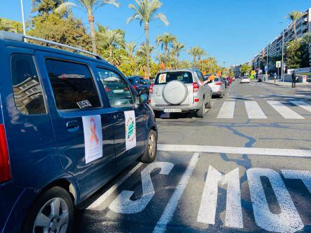 Movilización de vehículos, a su paso por el Paseo de la Victoria