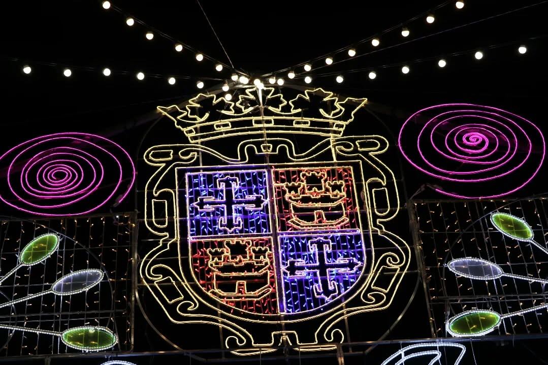 Iluminación ornamental de fiestas