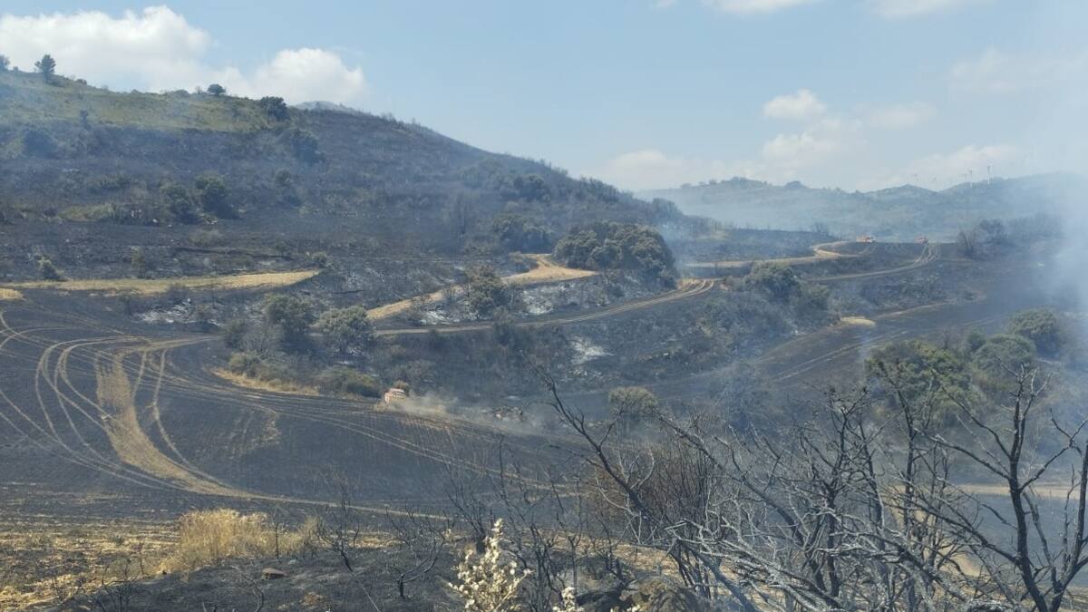 La Primera Llamada del Día con Amparo López