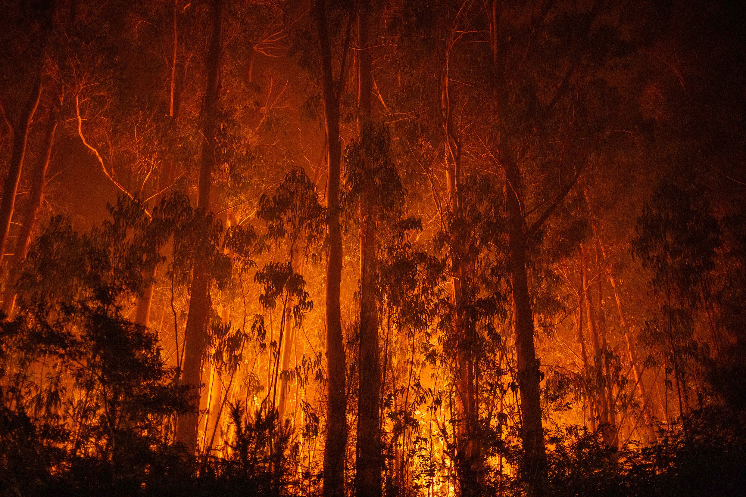 AS NEVES (PONTEVEDRA), 07/08/2025.- Vista del incendio forestal que permanece activo este miércoles en As Neves (Pontevedra). EFE/ Brais Lorenzo
