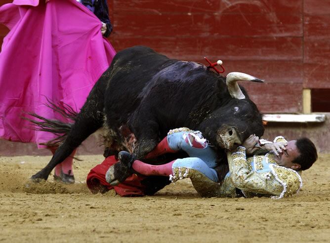 Momento en el que el Ponce sufre la cornada del toro de toro de Victoriano del Río
