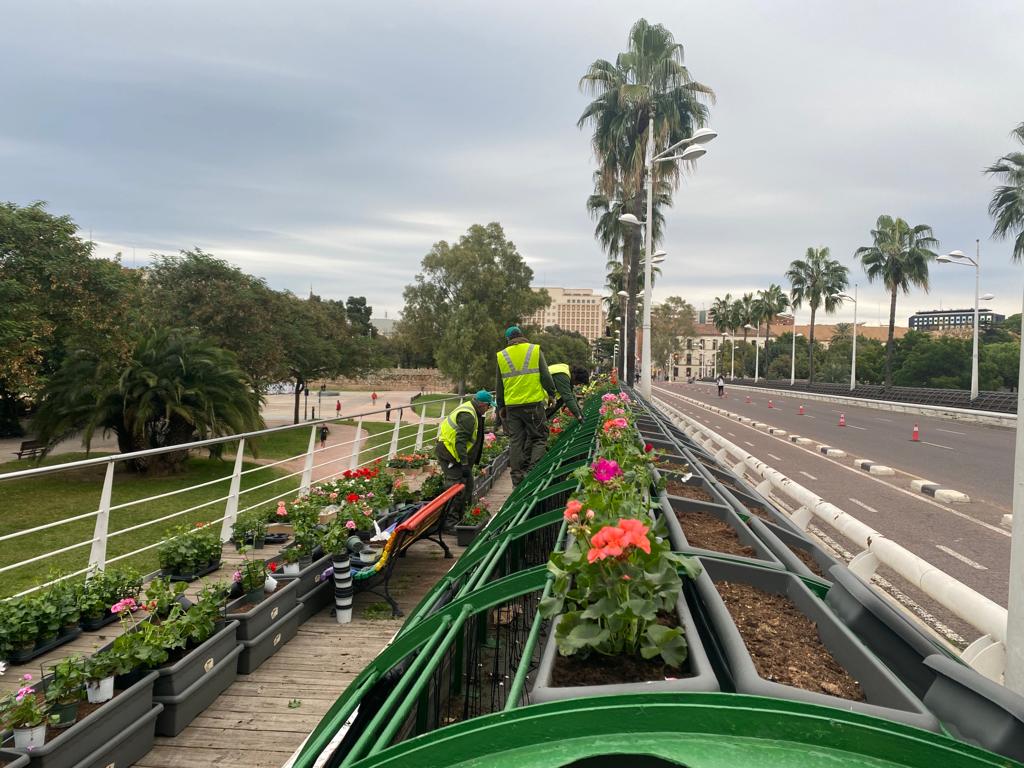 Plantación en el puente de las Flores de València