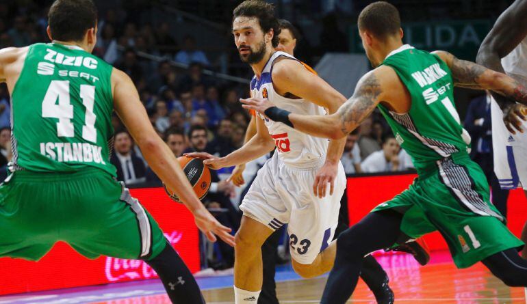 Llull, durante el partido ante Darussafaka Dogus