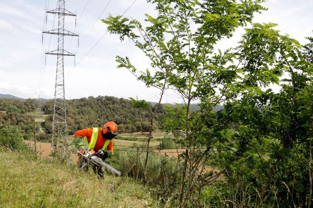 El europarlamento aspira a que un 10% de terreno agrícola sea restaurado como bosque