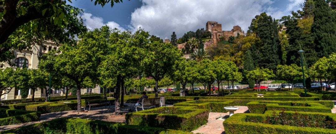 Jardines de Pedro Luis Alonso