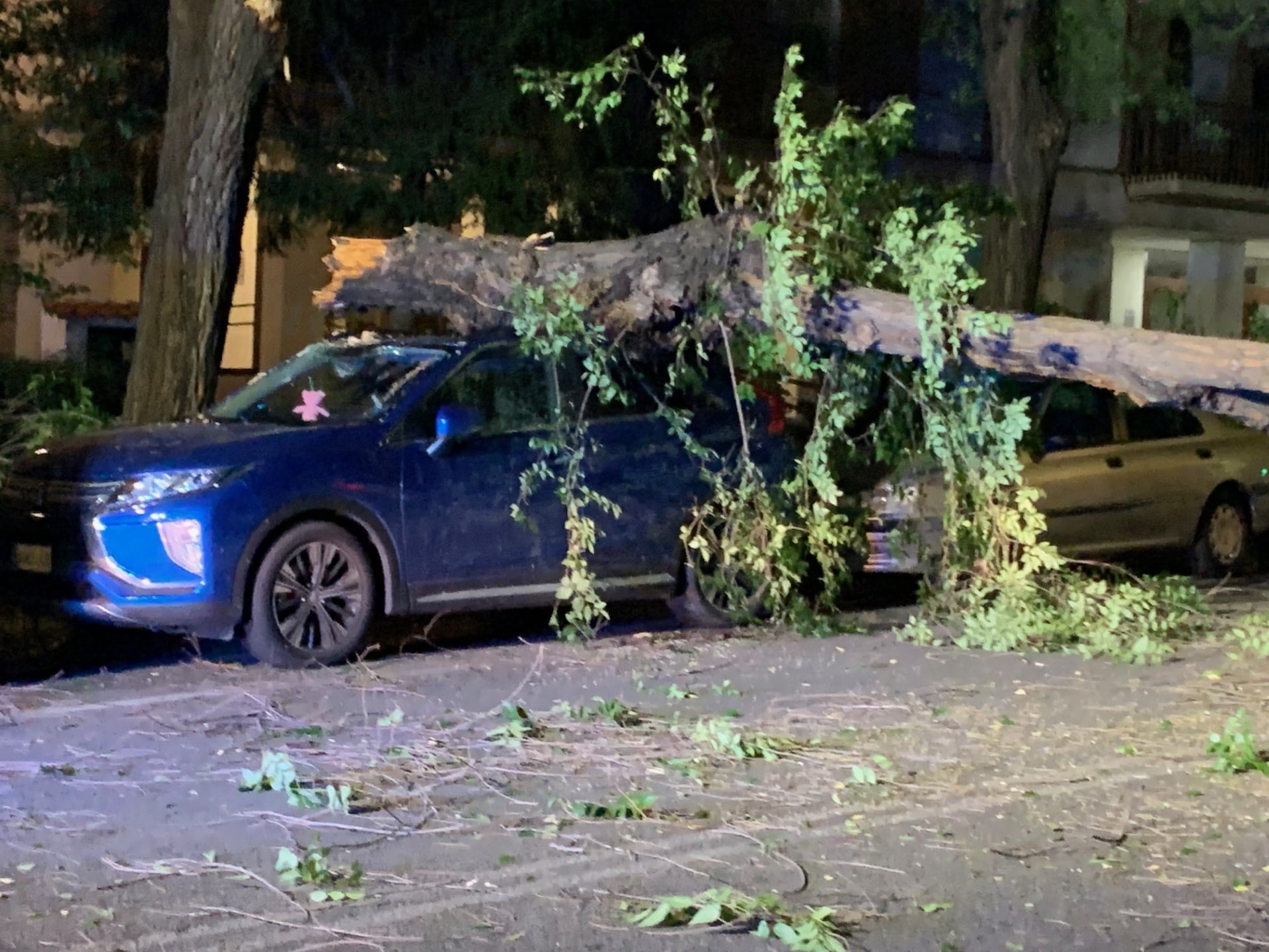 Árbol caído sobre un vehículo en Guadalajara/Foto SER GU