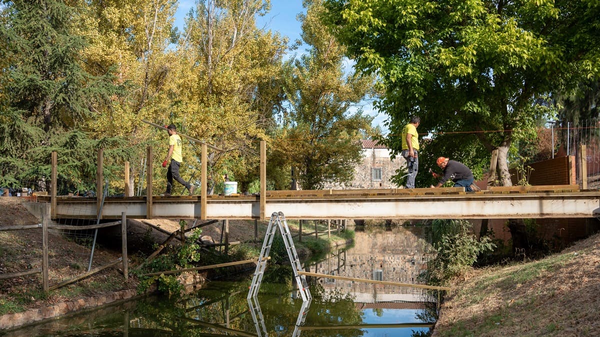 ENTREVISTA MARCO ANTONIO GUIJARRO PARQUES Y JARDINES