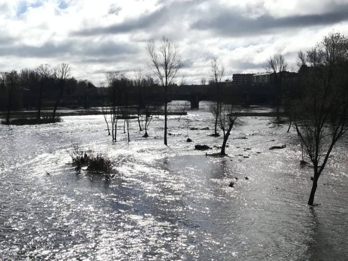 Declaraciones Teniente Enrique