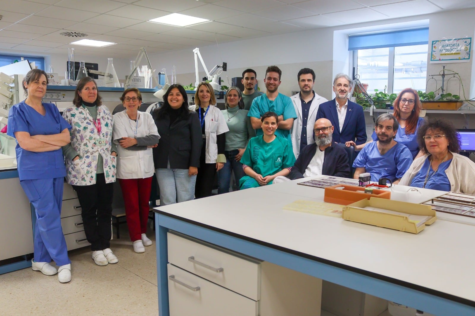 Equipo de patología