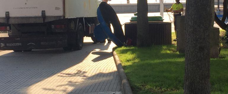 Servicio Limpieza de A Coruña