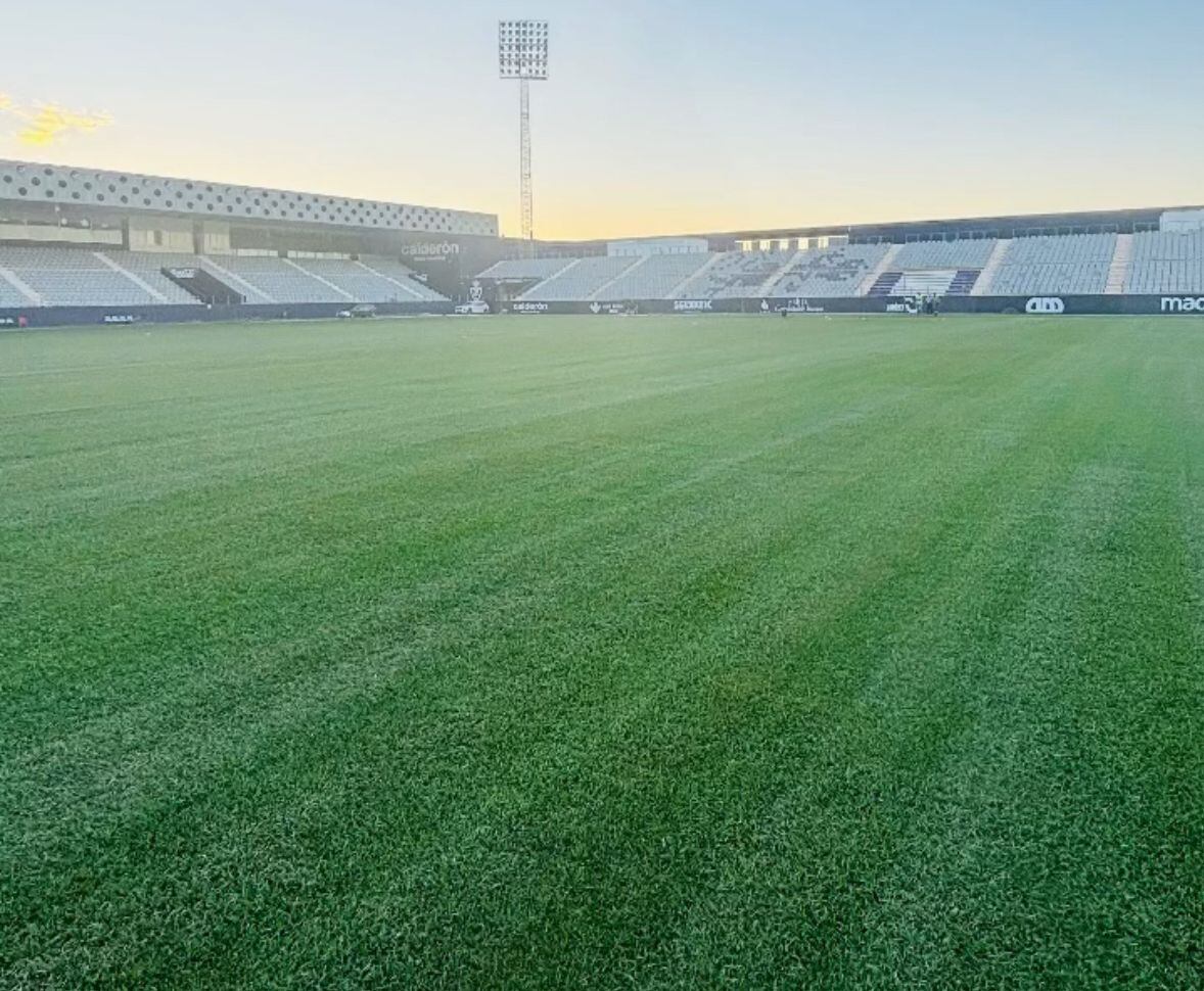 Nuevo césped del Estadio de la Victoria.