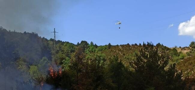 El fuego afecta a una zona de pinar y monte bajo.