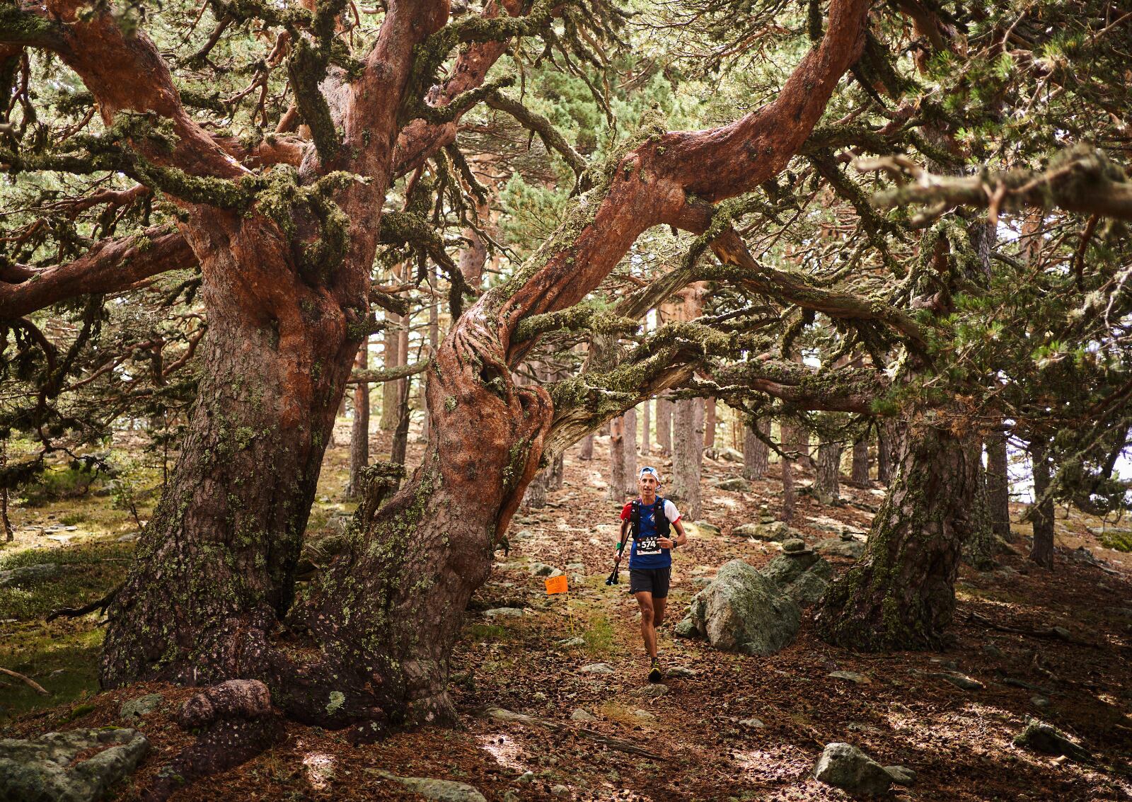 Desafío Urbión albergará definitivamente el Mundial de SkyRunning 2024.