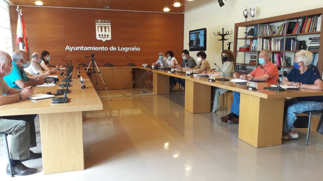 Consejo Municipal de Mayores.