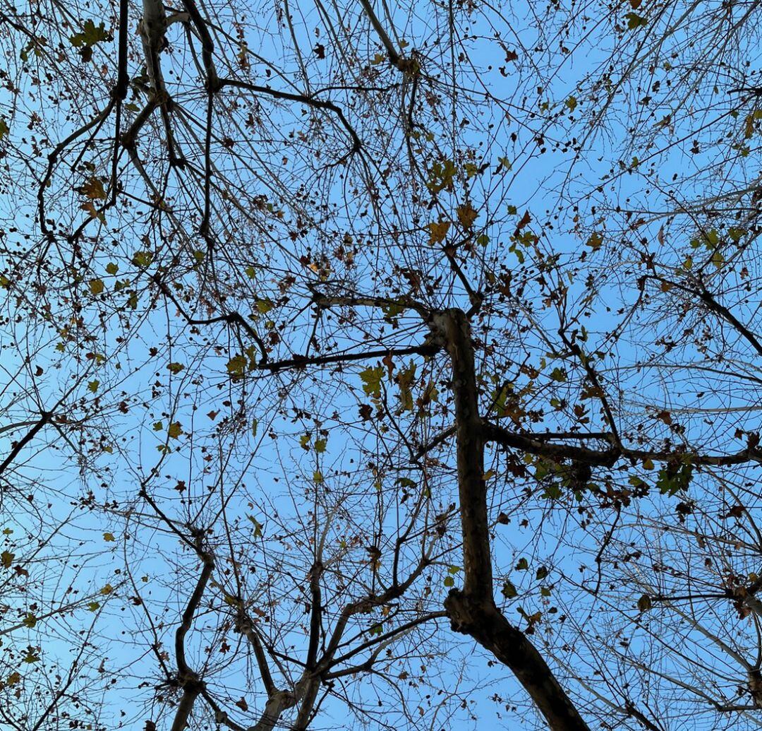 Cielo azul en la ciudad de Gandia  