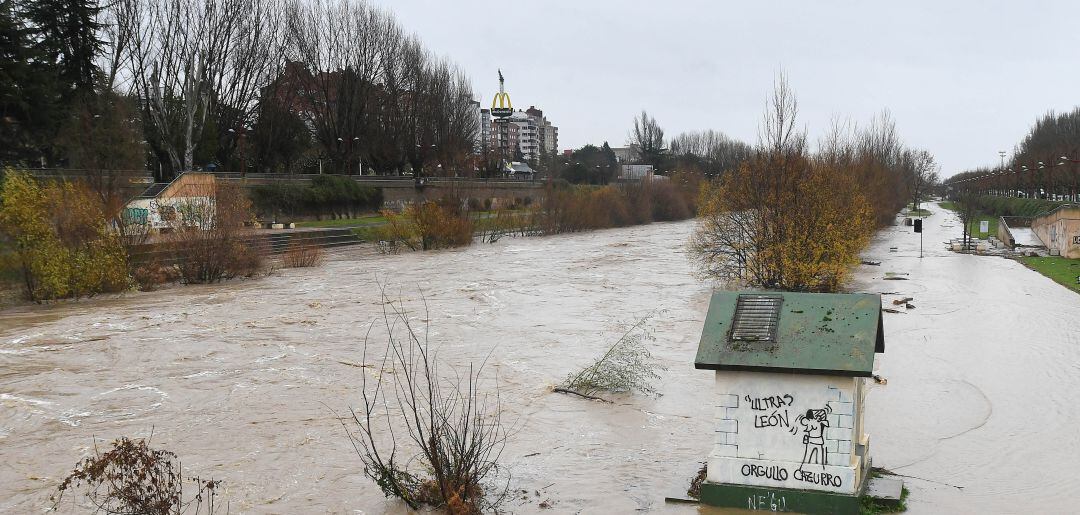 El caudal del río Bernesga se sale de sus márgenes a su paso por la capital leonesa