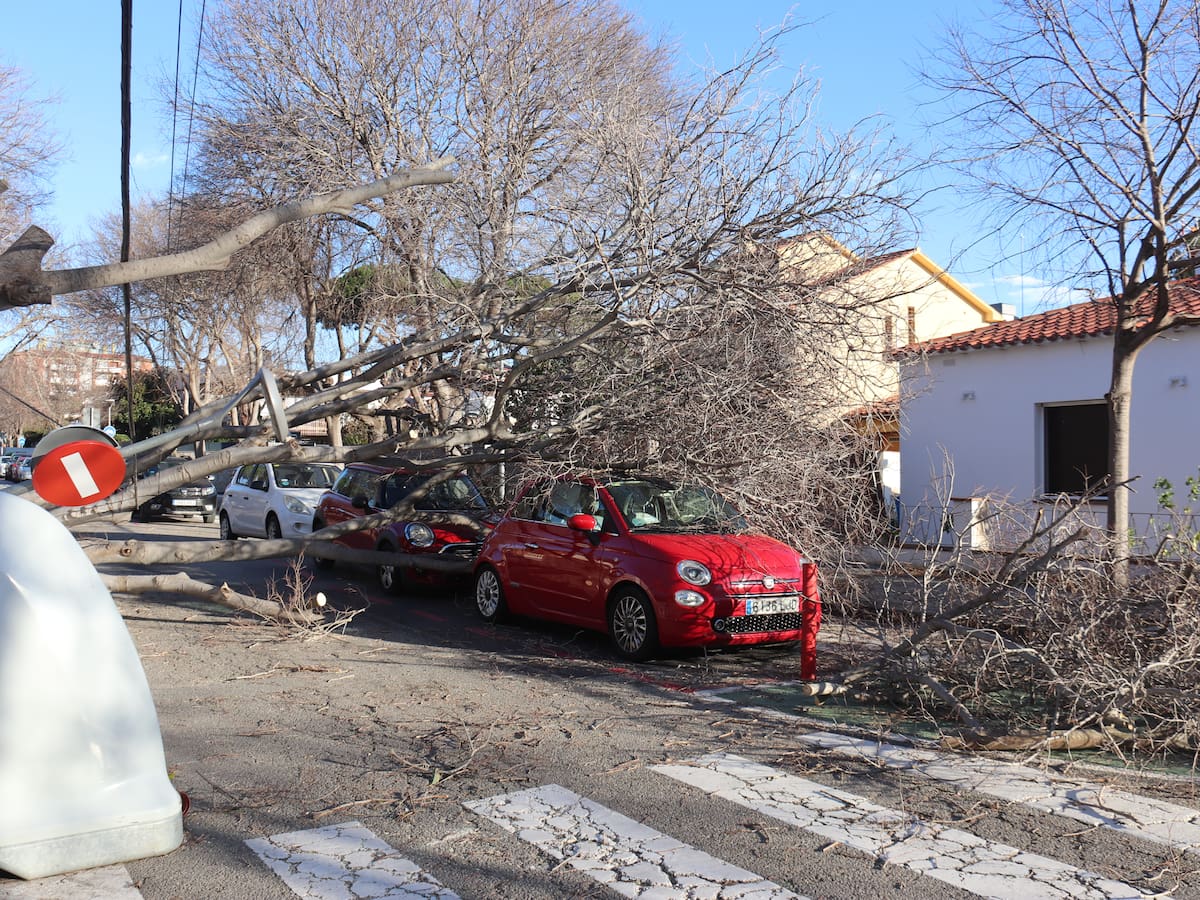 L'episodi de vent deixa un ferit crític i nou hospitalitzats més a Catalunya