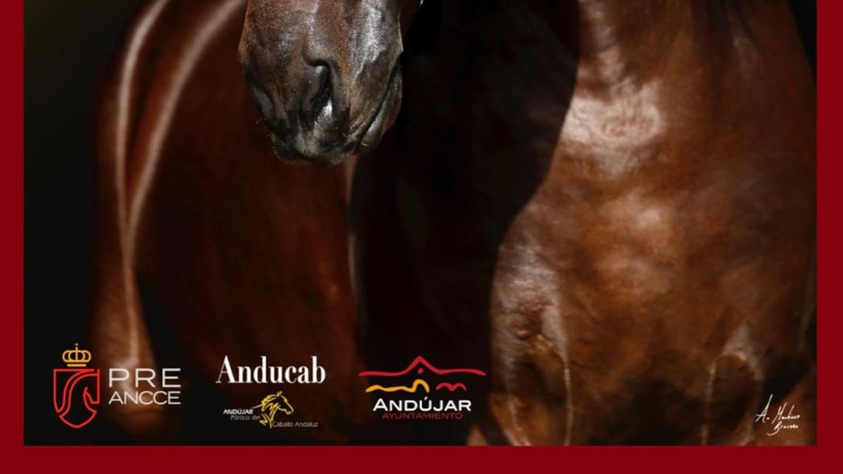 SICAB acoge la presentación del cartel oficial de ANDUCAB 2026