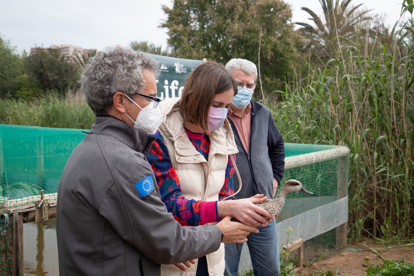 La concejala de Medio Ambiente, Esther Díez, con una Cerceta Pardilla