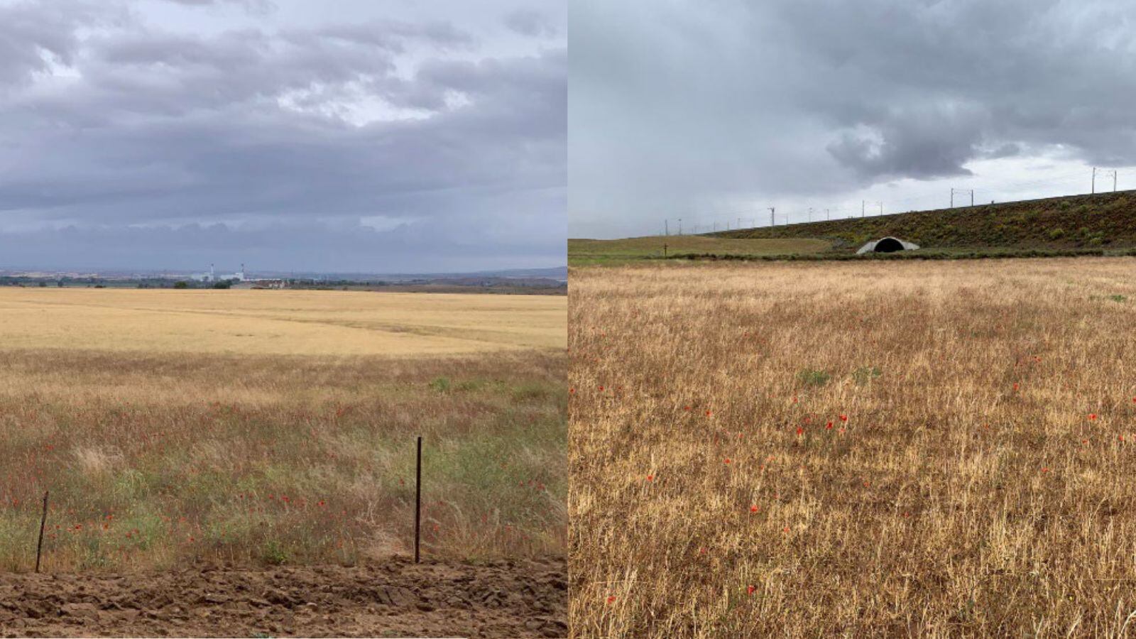 Imagen de los terrenos en donde se prevé ubicar la planta de Hidrógeno en la ciudad de Toledo