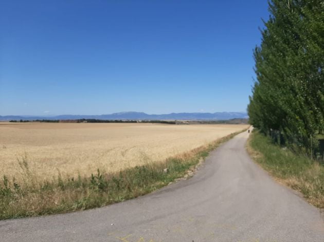 Los largos caminos de Castilla