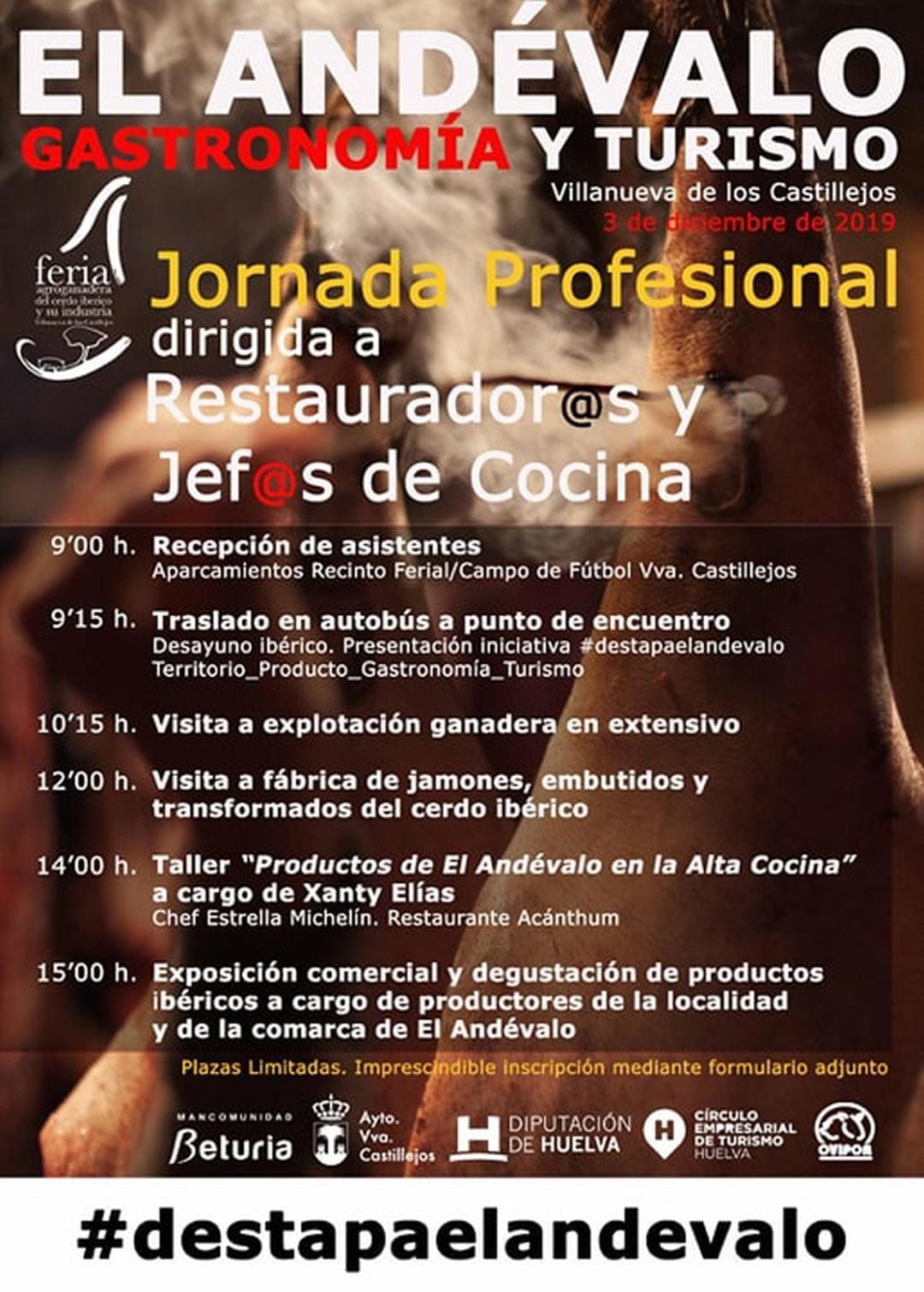 Cartel de las jornadas