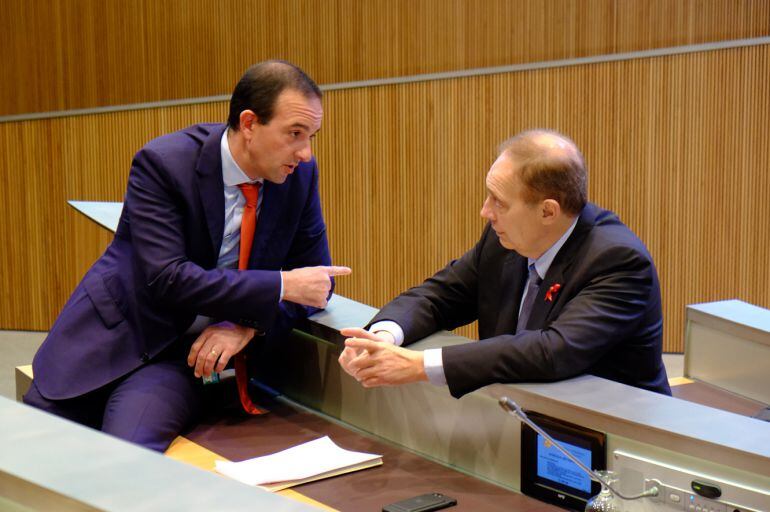 El ministre d'Ordenament Territorial, Jordi Torres, i el president del grup liberal, Josep Pintat.