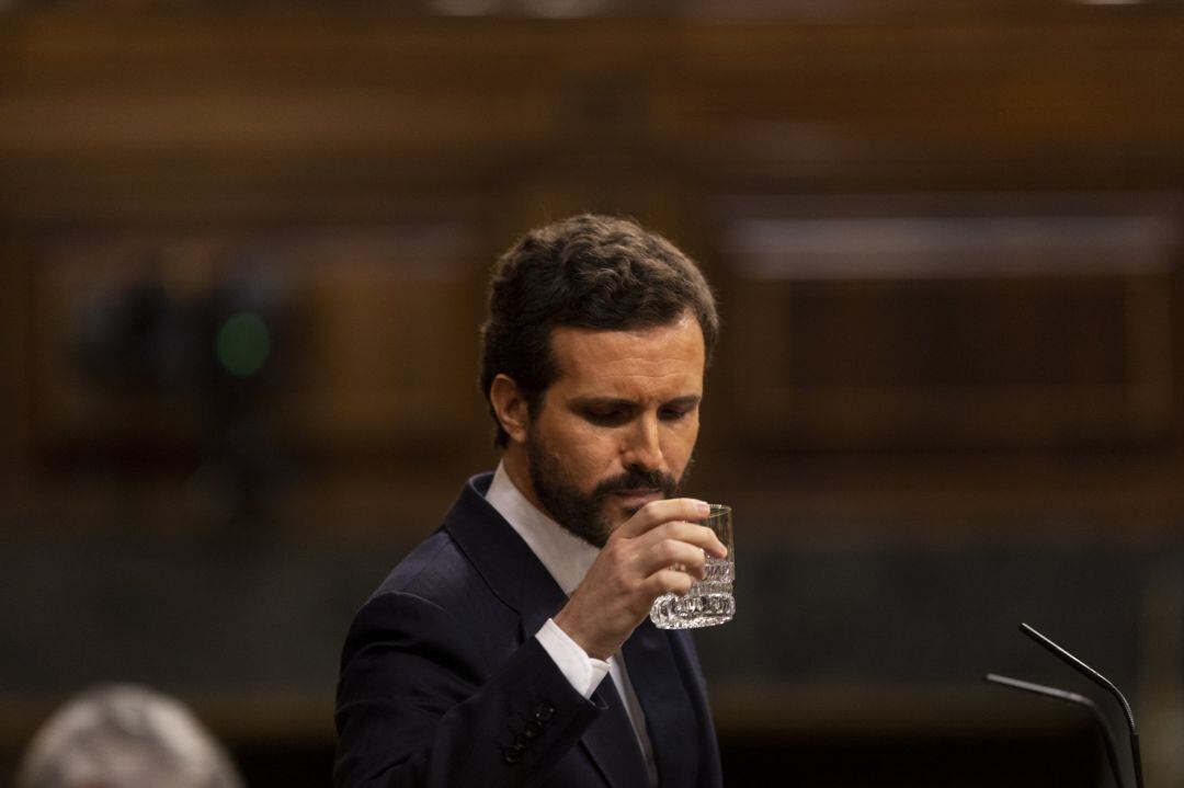 El presidente del Partido Popular, Pablo Casado, en el Congreso.