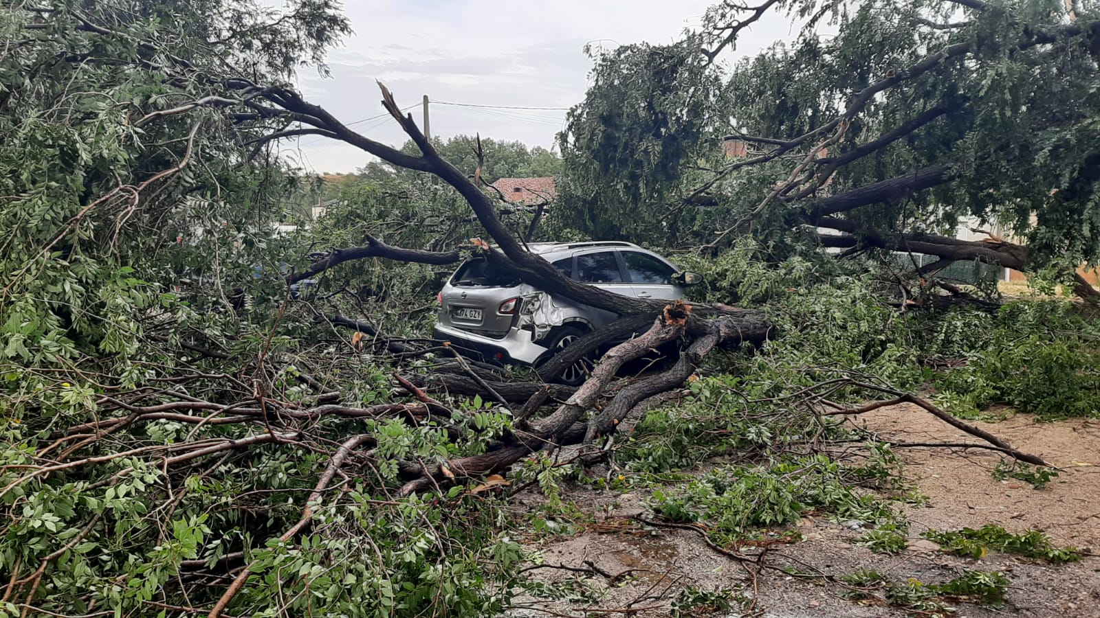 Árboles caídos sobre un vehículo en Arnedo tras una fuerte tormenta