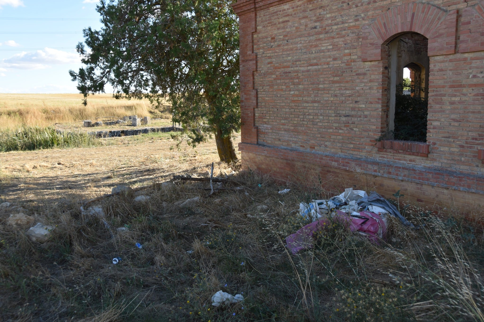 Foto que muestra el estado de una parte del Canal de Castilla, en la zona de Belmonte de Campos (Palencia)