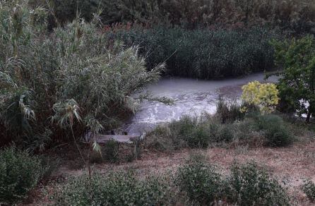 Vertido de aguas residuales al Segura